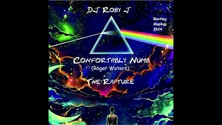 Confortably Numb Vs The Rapture - Dj Roby J (Bootleg Mashup)