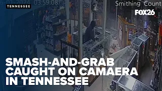 Tennessee police release footage of smash-and-grab gun store burglary