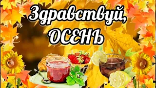 ПРИВЕТ ОСЕНЬ🍁 Супер Красивое Поздравление С Первым Днём Осени 🍂 С 1 Сентября 💐 С Началом Осени