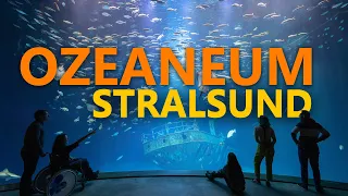 Ozeaneum Stralsund - Mehr als ein Aquarium | Zoo-Eindruck