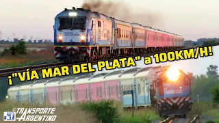 🔥💯 ¡¡TRENES DIRECTOS "Plaza Constitución - Mar Del Plata" A MAS DE 100KM/H!! ¡CKD y GT22! 😱