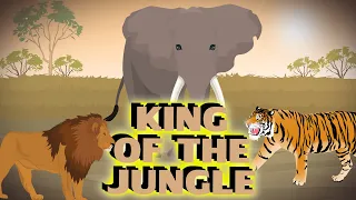 king of the Jungle | Lion Vs Tiger Vs Elephant [ 4K ]