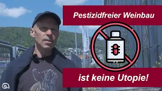 Delinat-Gründer Karl Schefer im Interview: Wie gefährlich sind Pestizide in der Landwirtschaft?