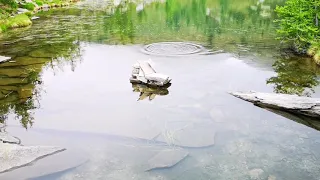 Fischen auf Forellen am Bergsee in der Schweiz, Tessin