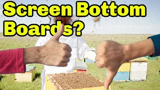 Beekeeping | Are Screen Bottom Boards Worth it Or Worthless? Ep.2