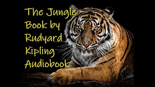 The jungle book   Chapter 7   Lukannon