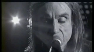 IGGY POP MISS ARGENTINA