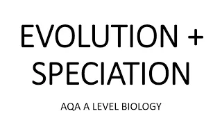 EVOLUTION + SPECIATION - AQA A LEVEL BIOLOGY + EXAM QUESTIONS RUN THROUGH