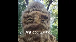 BigFoot Quebec