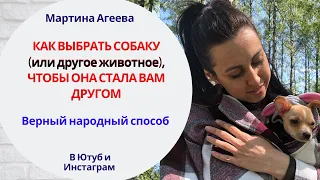 Проверенный народный способ выбора животных