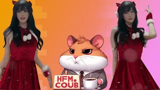 HFM COUB BEST CUBE Coub Приколы 2024 entertainment show, video collection from all over the world