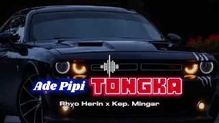 ADE PIPI TONGKA -  RHYO HERIN x KEP. MINGAR | REMIX TERBARU 2023