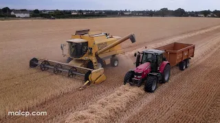 Harvest 2022: New Holland TX68 Plus harvesting barley in Suffolk