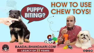 How to STOP Puppy Biting Using Chew Toys | Stop & Control Dog Biting | Training | Baadal Bhandaari