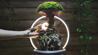 making a mini mushroom garden