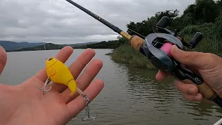 GIANT BASS CRUSHED MY WHOPPER PLOPPER ! Topwater Bass Fishing