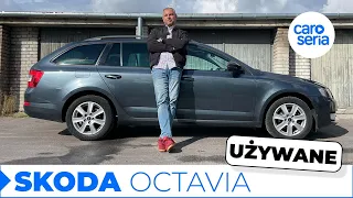 Używana Skoda Octavia 1.6 TDI, czyli to mógł być Polonez! (TEST PL 4K 70 min!) | CaroSeria