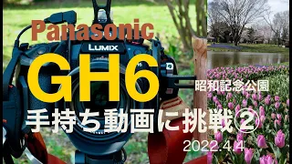 【Panasonic LUMIX GH6 手持ち動画に挑戦②】昭和記念公園を撮る C4K