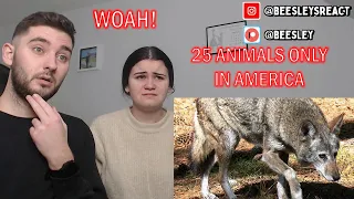 BRITISH COUPLE REACTS | 25 U.S. Animals You Won't Find Anywhere Else