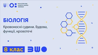 8 клас. Біологія. Кровоносні судини. Будова, функції, кровотечі