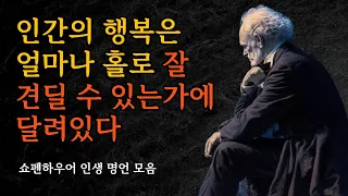 행복은 얼마나 홀로 잘 견딜 수 있는가에 달려있다 | 쇼펜하우어 인생 명언 모음