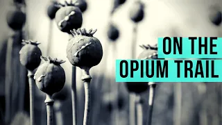 DataBaaz | History, Trade & Trafficking: India's Opium Trail