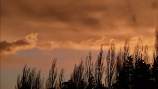 April, Gedicht von Theodor Storm, Lesung vom Vorleser