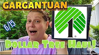 GARGANTUAN Dollar Tree Haul! 🛍 June 15