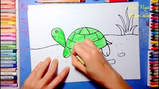 How to draw a turtle- coloring turtle - Vẽ con rùa - Hướng dẫn vẽ con rùa #CoNgaMamnon