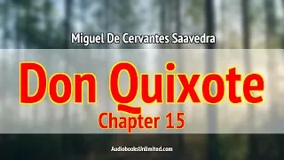 Don Quixote Audiobook Chapter 15