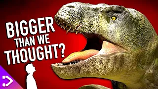 How BIG Was The T-REX REALLY!? (New Discovery)