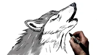 How to Draw A Howling Wolf | Step by Step