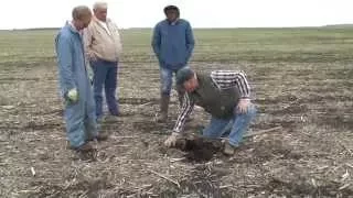 Rye As a Cover Crop - Aerial Seeding