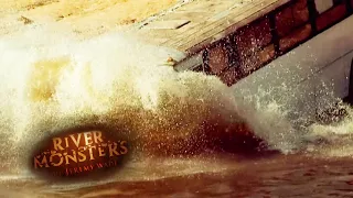 Bus Crashes Into Amazon River | HORROR STORY | River Monsters