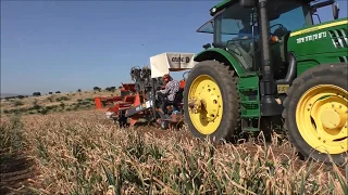 garlic harvester 2019