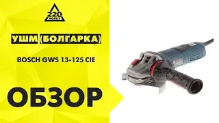 Обзор УШМ (болгарка) BOSCH GWS 13-125 CIE