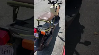 The New 2024 Honda Ruckus