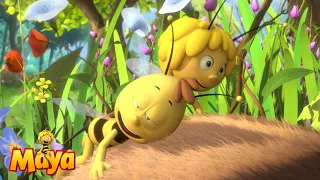 Strange noise - Maya the Bee🐝🍯🐝