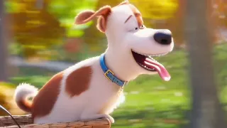 Katie and Max first sweet meeting (Hindi dub) clip