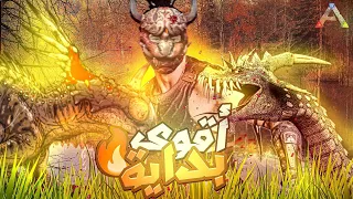 ارك : بداية قوية 🔥في سيرفر مغربي مع يوتيوبر مجانين 🔥| Ark  Ragnarok #1