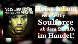 Nosliw - "HeissUndLaut Remixed by SoulForce" Megamix