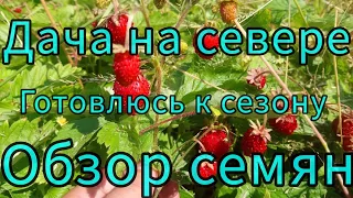 ДАЧА НА СЕВЕРЕ // ГОТОВЛЮСЬ К СЕЗОНУ// ОБЗОР СЕМЯН// ГРУНТ ИЗ СВЕТОФОРА