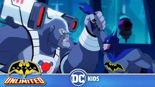 Batman Unlimited en Latino | Batman se equipan para enfrentarse contra Silverback | DC Kids