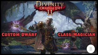 Divinity Original Sin 2 : Early Access Gameplay