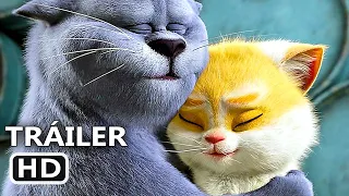 GATOS Tráiler Español DOBLADO (2020) Animación