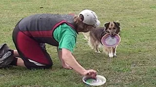 Disc Dog - how to start the training