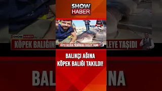 200 kiloluk köpek balığı tuttu! #showanahaber #shorts