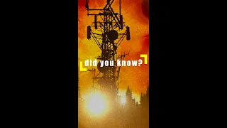 did you know? || MANDY (2018) #shorts