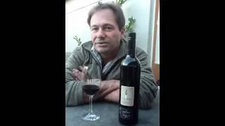 Magpie Estate "The Election" Shiraz