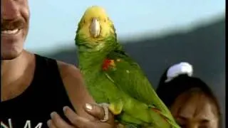 Poncho the singing bird
